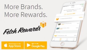 Get Rewarded for Shopping with the Fetch Rewards App - Easily Earn